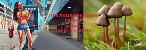 круглые Алексеевка