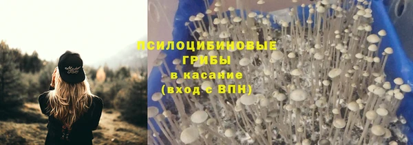 круглые Алексеевка