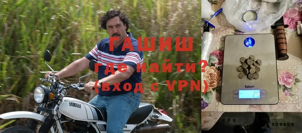стаф Алексин