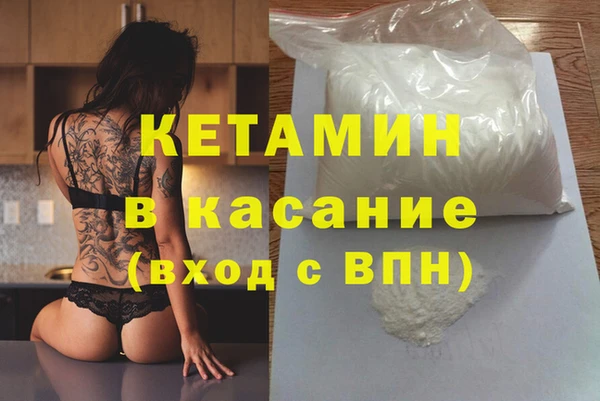 стаф Алексин