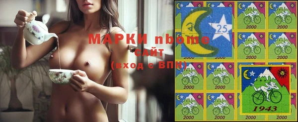 стаф Алексин