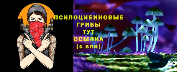 круглые Алексеевка