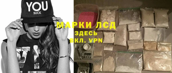стаф Алексин
