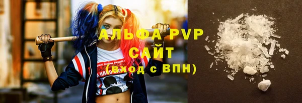 стаф Алексин