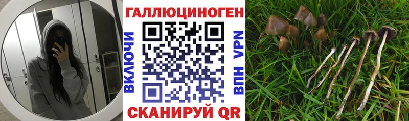 Галлюциногенные грибы прущие грибы  цена наркотик  OMG ссылка  Полярные Зори 